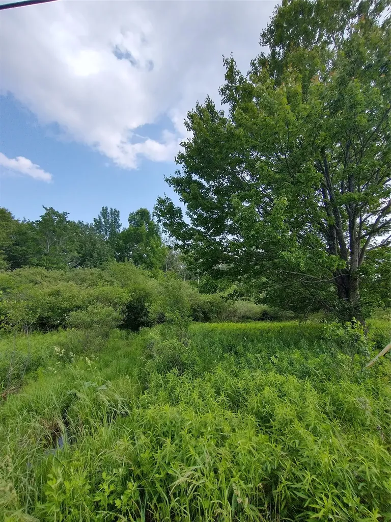 Old Loomis Road Liberty NY 12734