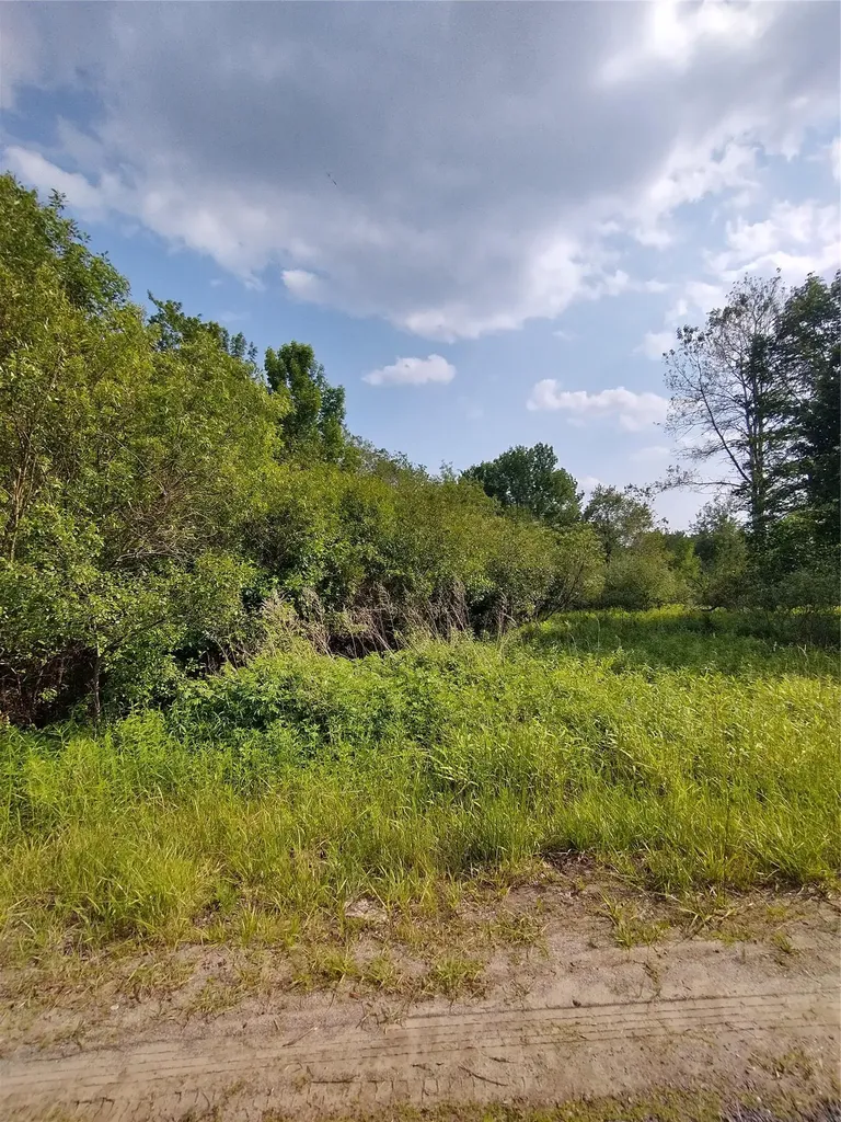 Old Loomis Road Liberty NY 12734