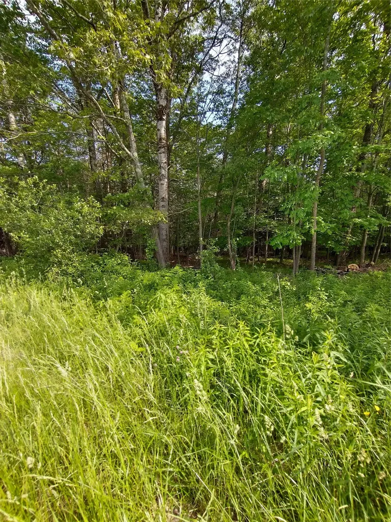 Old Loomis Road Liberty NY 12734