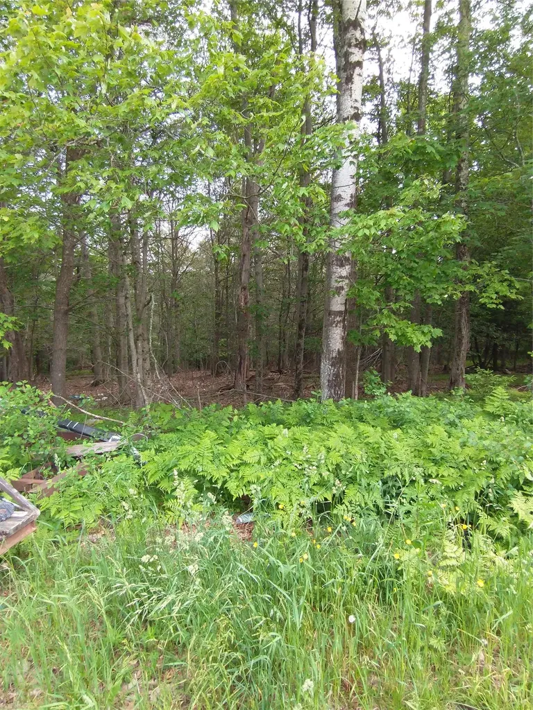 Old Loomis Road Liberty NY 12734