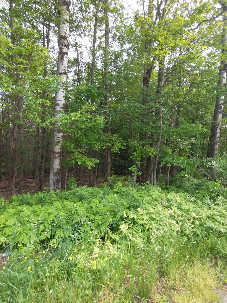 Old Loomis Road Liberty NY 12734