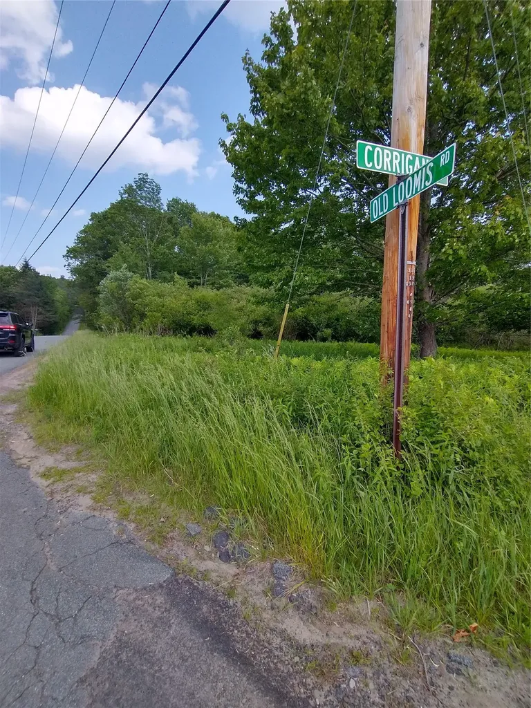 Old Loomis Road Liberty NY 12734
