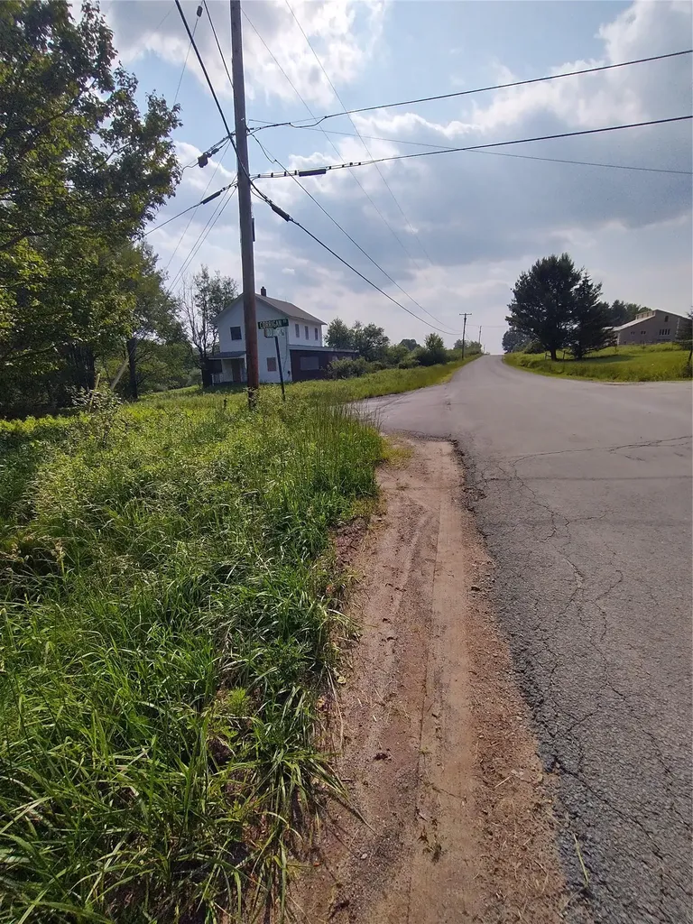Old Loomis Road Liberty NY 12734