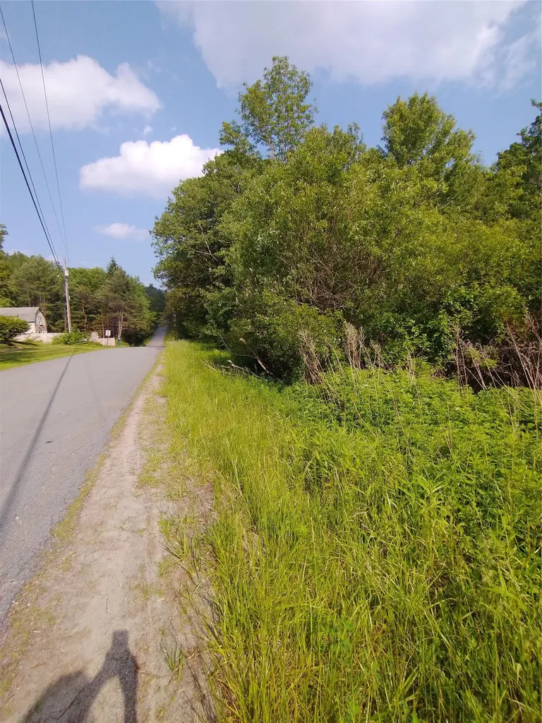 Old Loomis Road Liberty NY 12734