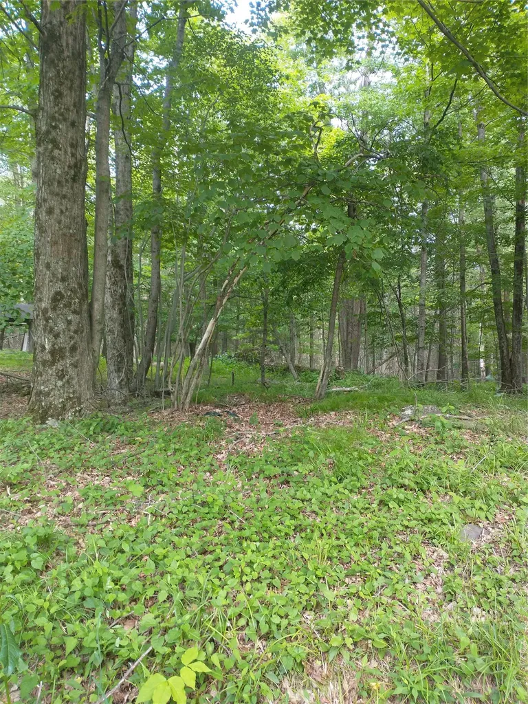 Old Loomis Road Liberty NY 12734