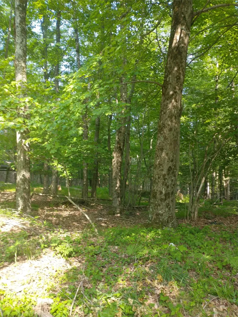 Old Loomis Road Liberty NY 12734