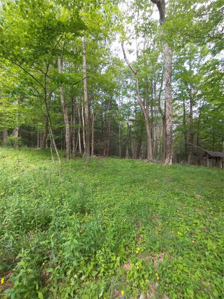 Old Loomis Road Liberty NY 12734