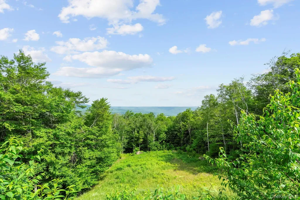 892 Durham Road Other NY 12076