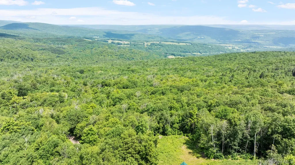 892 Durham Road Other NY 12076