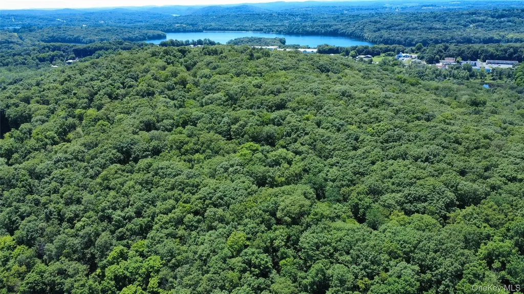118 Scenic Ridge Drive Brewster NY 10509