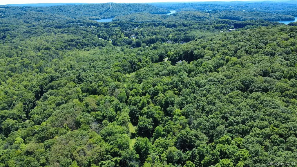 118 Scenic Ridge Drive Brewster NY 10509