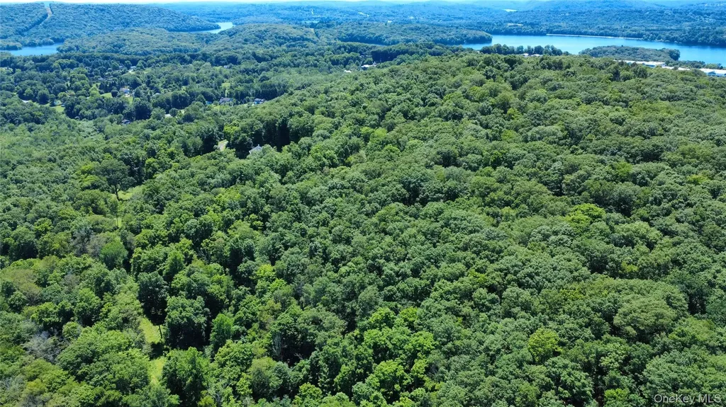 118 Scenic Ridge Drive Brewster NY 10509