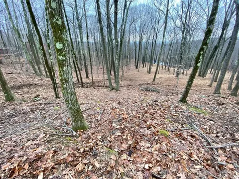 400 Mercer Mountain Road East Chatham NY 12060