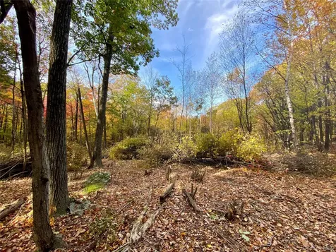 400 Mercer Mountain Road East Chatham NY 12060