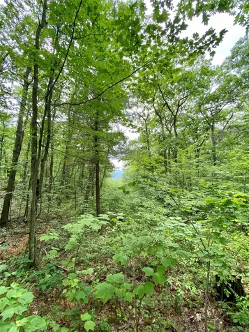 400 Mercer Mountain Road East Chatham NY 12060