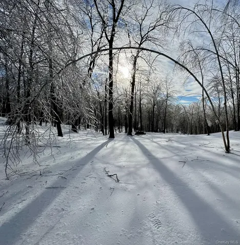 400 Mercer Mountain Road East Chatham NY 12060