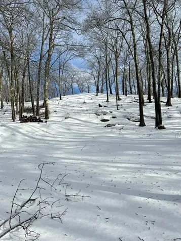 400 Mercer Mountain Road East Chatham NY 12060