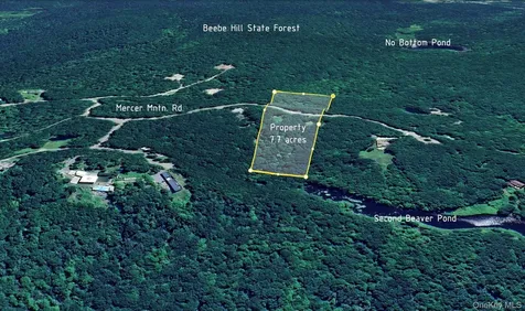 400 Mercer Mountain Road East Chatham NY 12060
