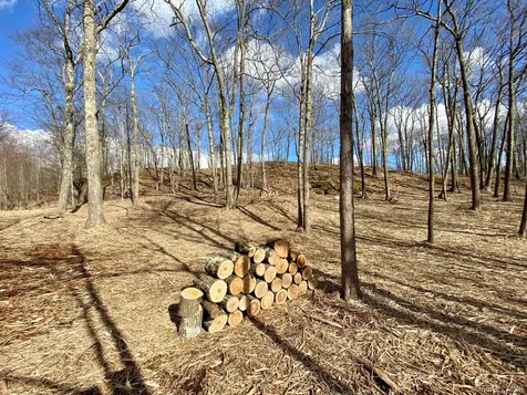 400 Mercer Mountain Road East Chatham NY 12060