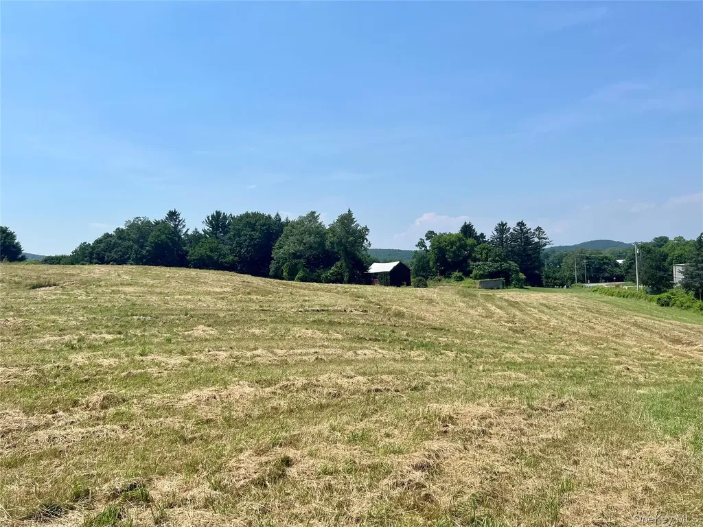 7668 Route 82 Pine Plains NY 12567