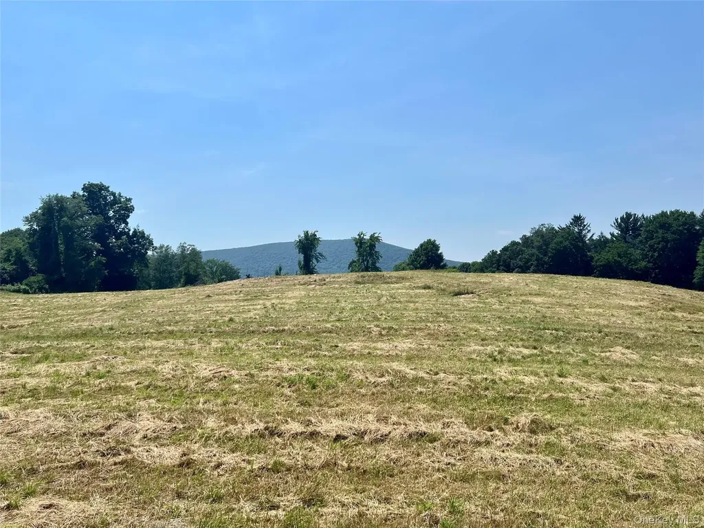 7668 Route 82 Pine Plains NY 12567