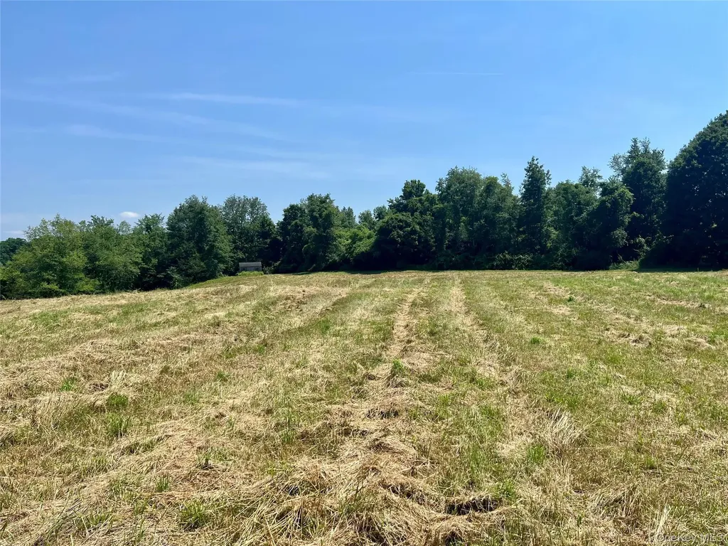 7668 Route 82 Pine Plains NY 12567
