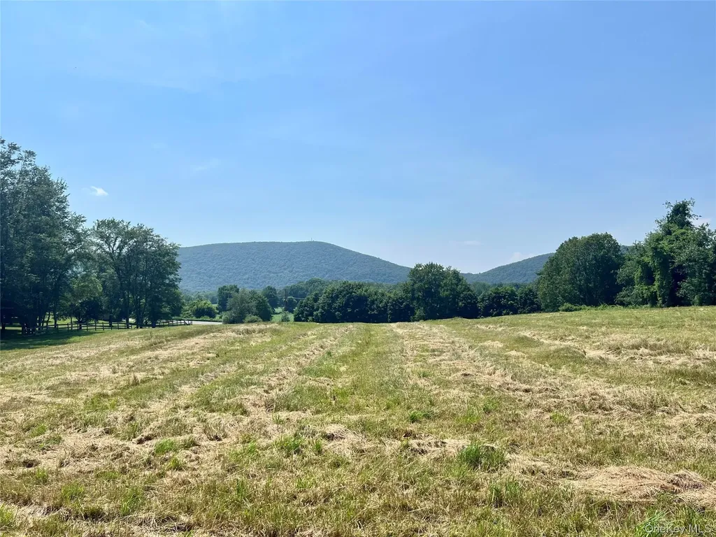 7668 Route 82 Pine Plains NY 12567