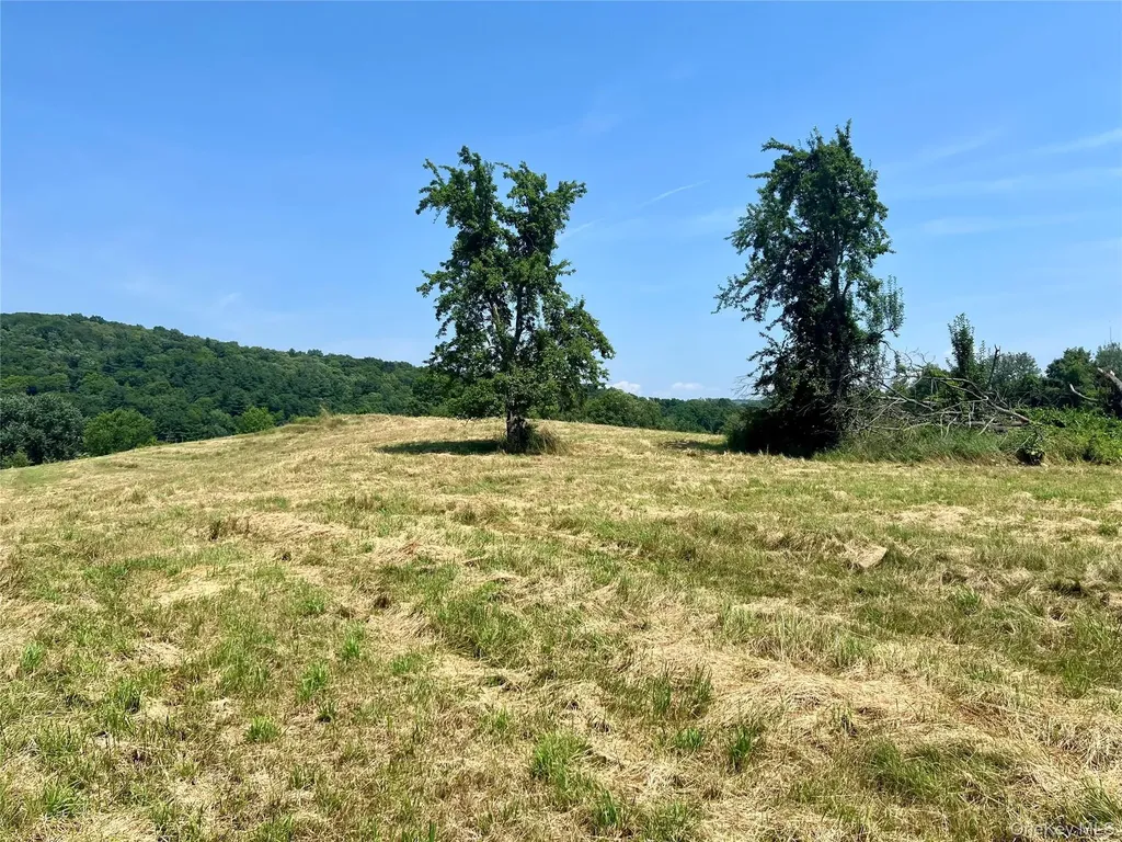 7668 Route 82 Pine Plains NY 12567