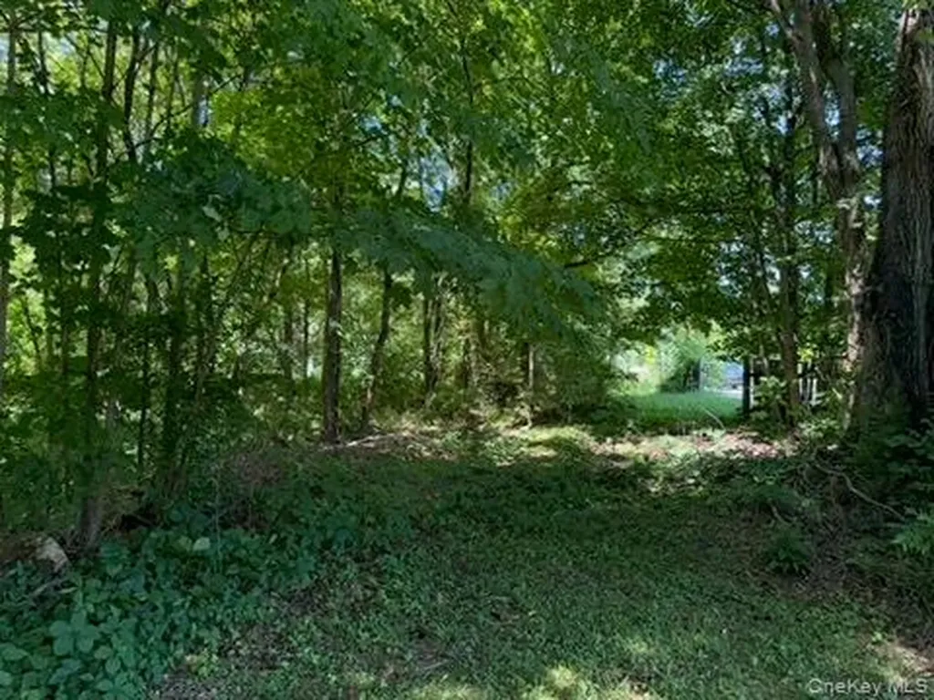 22 Beilke Road Millerton NY 12546