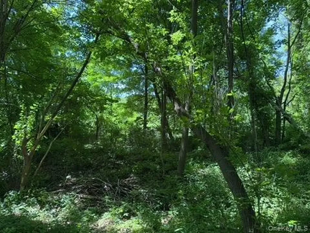 22 Beilke Road Millerton NY 12546