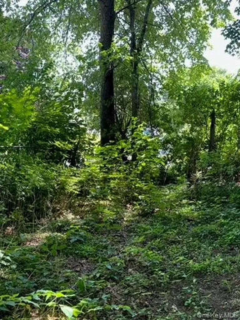 22 Beilke Road Millerton NY 12546