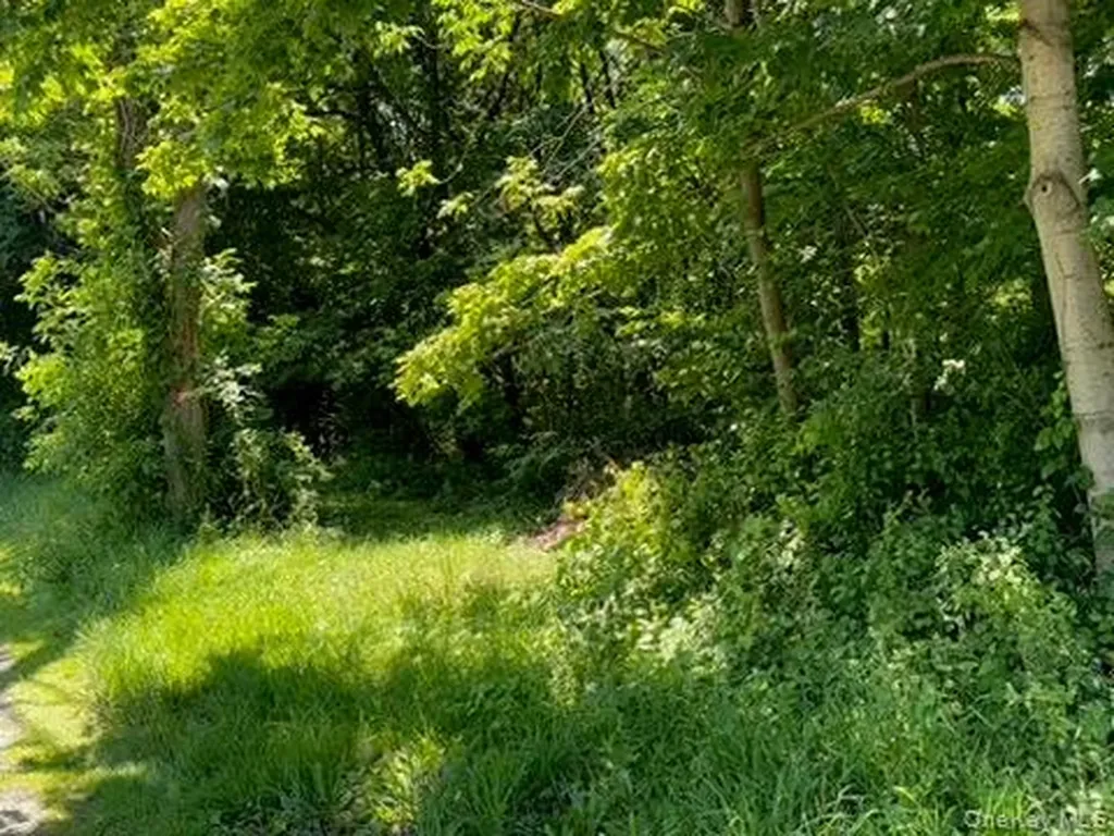 22 Beilke Road Millerton NY 12546