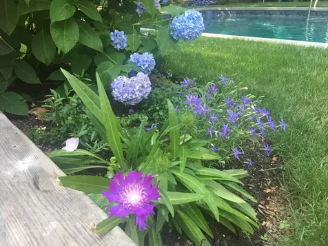 415 Seven Ponds Towd Road Water Mill NY 11976