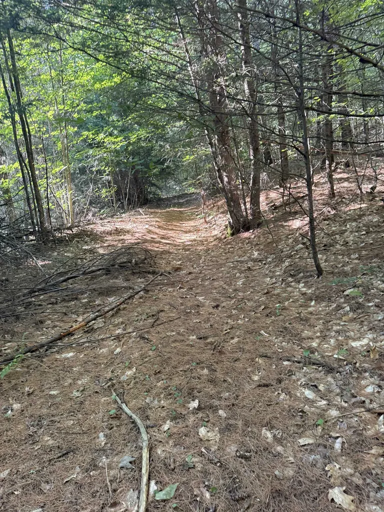 60 Pound Road Sanbornton NH 03269
