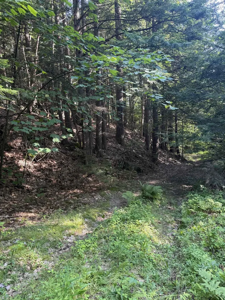 60 Pound Road Sanbornton NH 03269