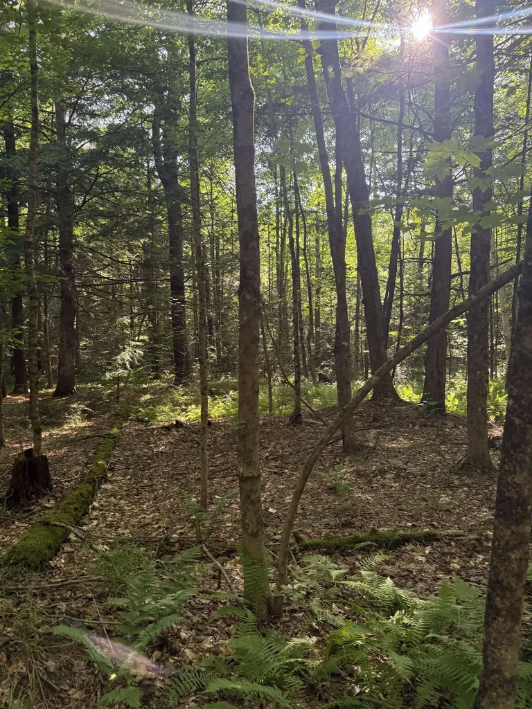 60 Pound Road Sanbornton NH 03269