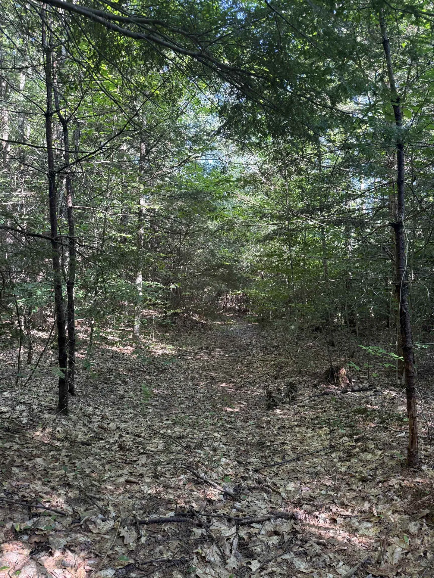 60 Pound Road Sanbornton NH 03269