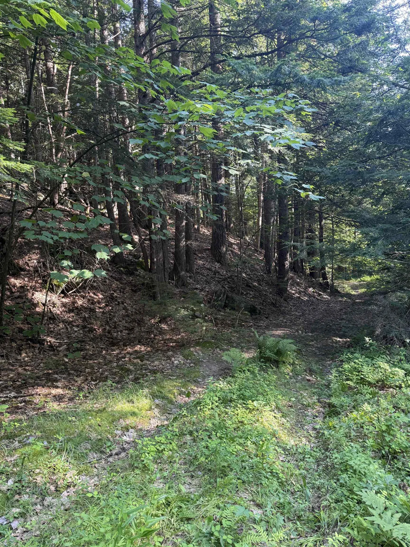 60 Pound Road Sanbornton NH 03269