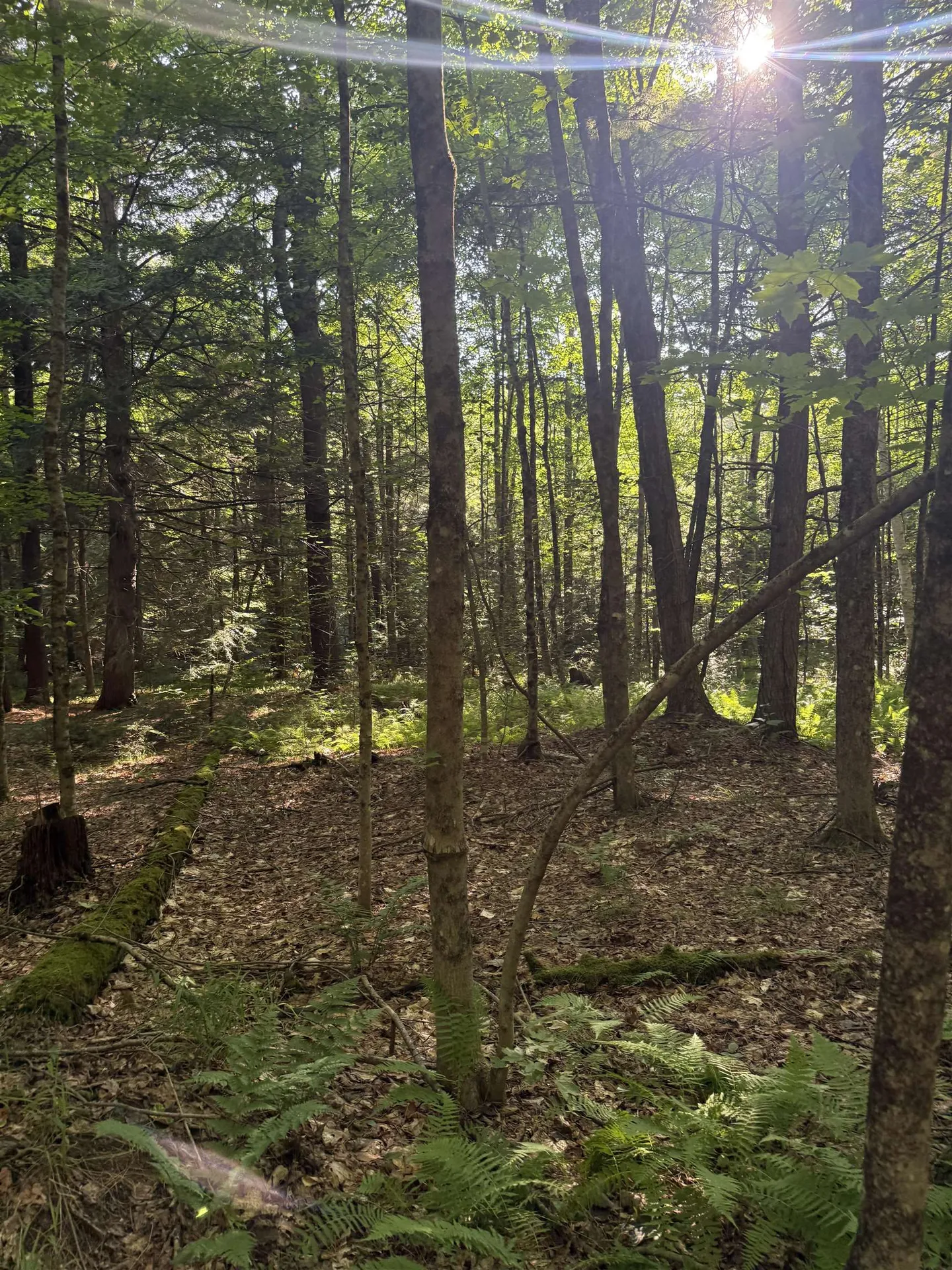 60 Pound Road Sanbornton NH 03269