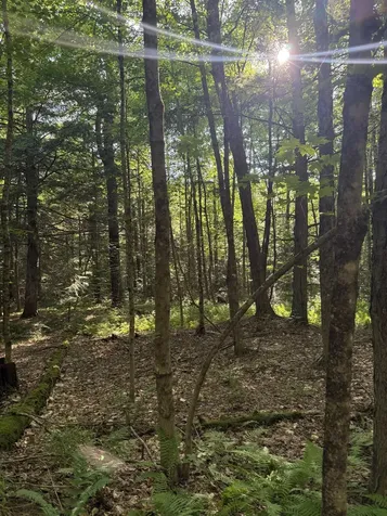 60 Pound Road Sanbornton NH 03269