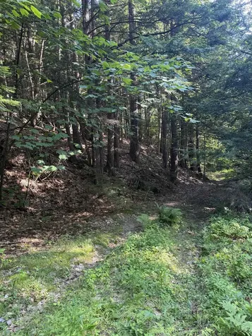 60 Pound Road Sanbornton NH 03269