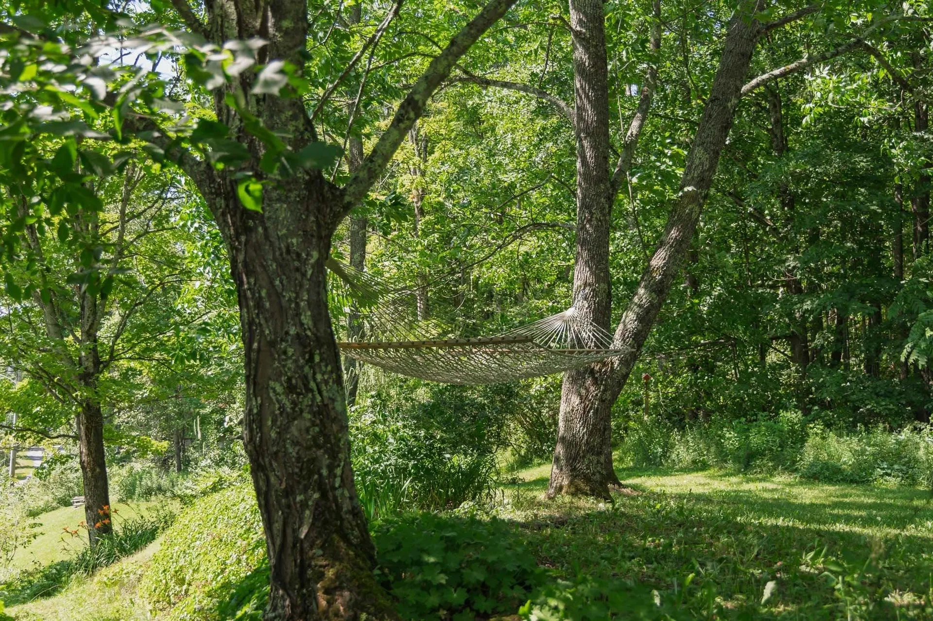 31 Mill Road Warren VT 05674