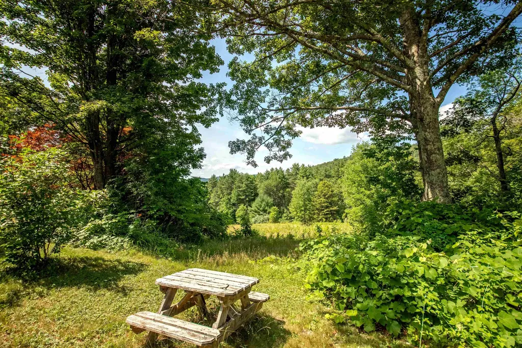 254 Lawrence Drive Townshend VT 05359