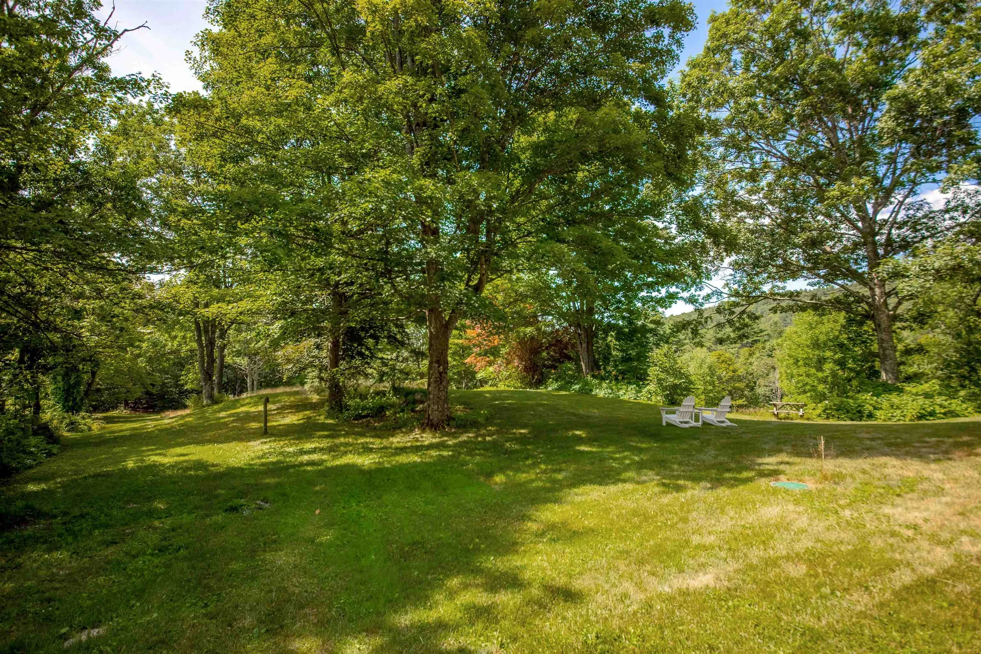 254 Lawrence Drive Townshend VT 05359