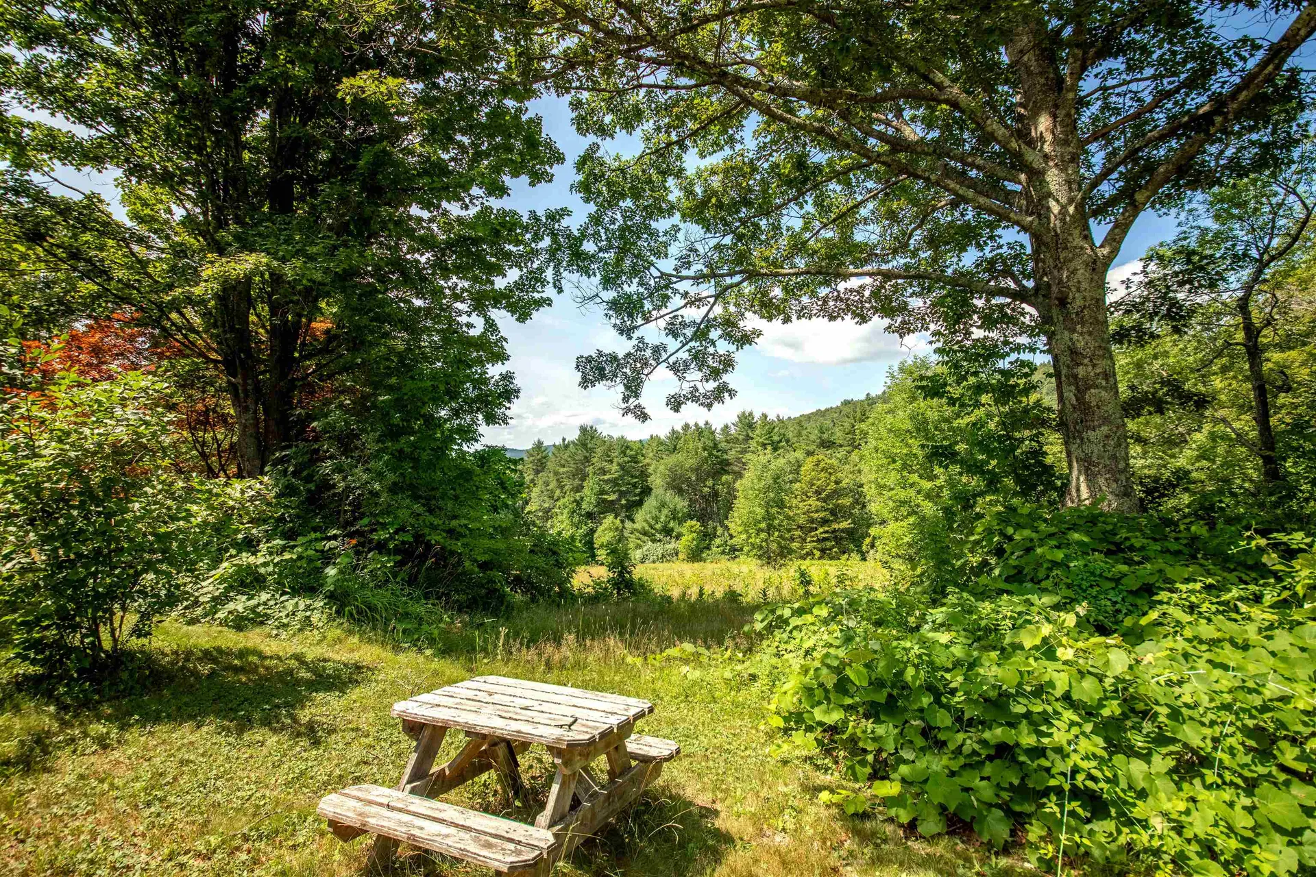 254 Lawrence Drive Townshend VT 05359