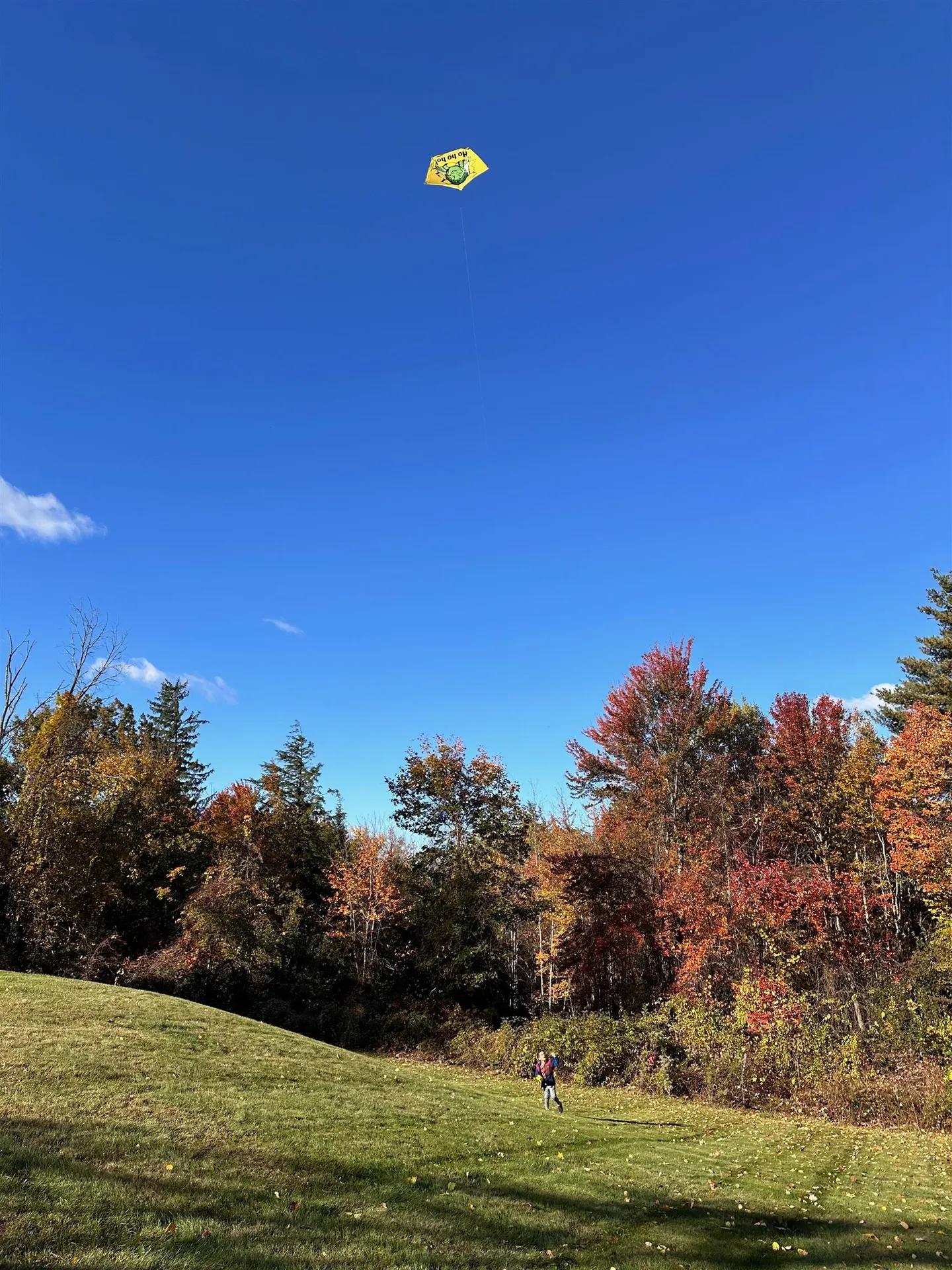 38 Putney Hill Road Hopkinton NH 03229