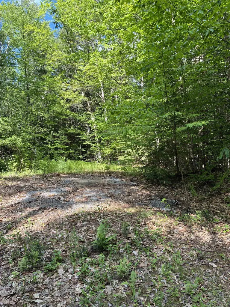 224 Forest Road Hancock NH 03449-5708