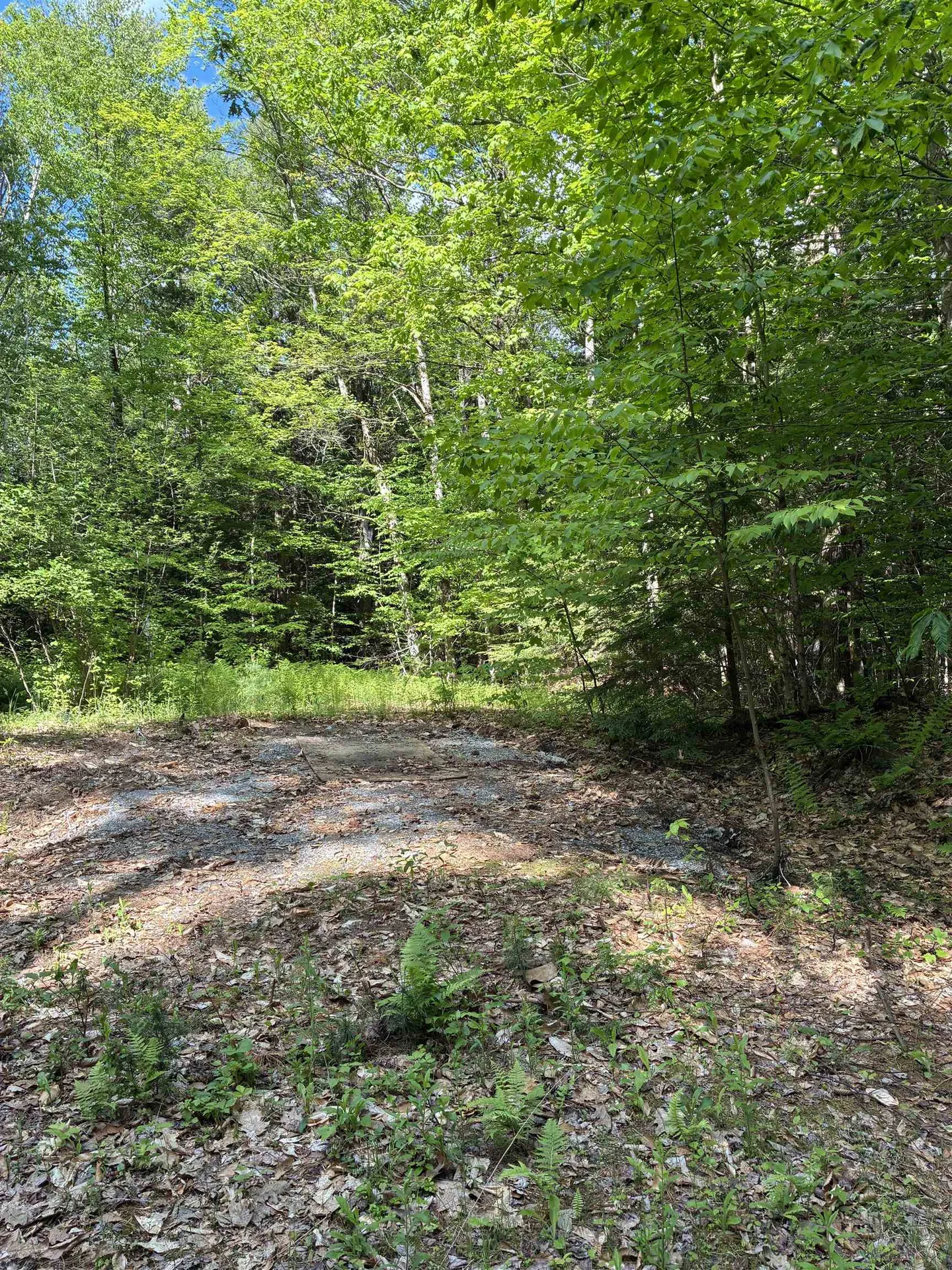 224 Forest Road Hancock NH 03449-5708