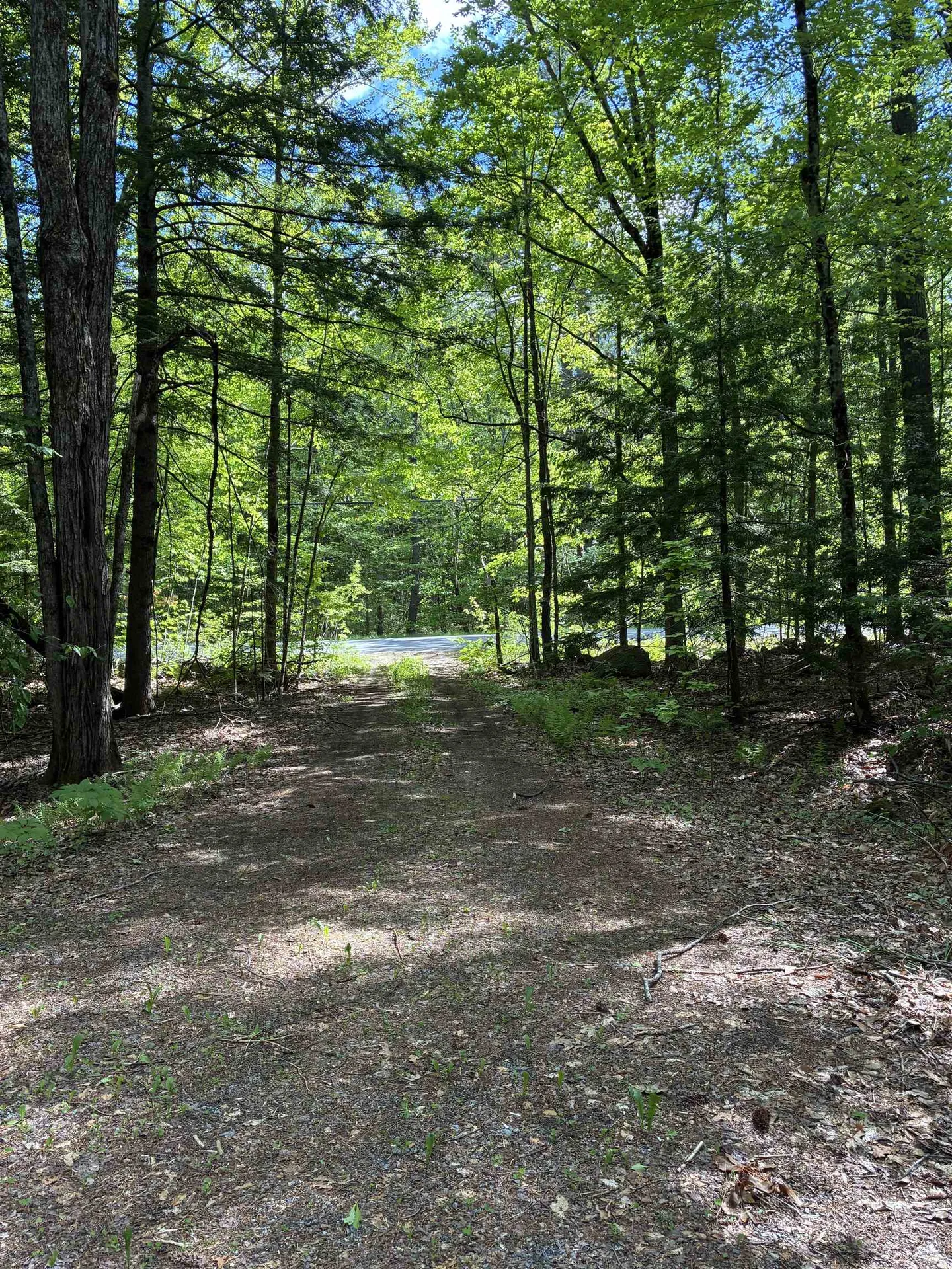 224 Forest Road Hancock NH 03449-5708