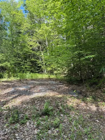 224 Forest Road Hancock NH 03449-5708